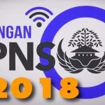 Pendaftar CPNS di Sultra Capai 40 Ribu ilustrasi cpns 2018
