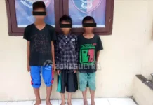 Tiga Bocah Pencuri Motor Ditangkap Polres Kolut Tiga Bocah Pencuri Motor Ditangkap Polres Kolut
