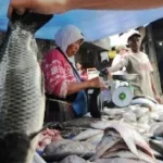 Cuaca Ekstrim, Harga Ikan di Kendari Naik Cuaca Ekstrim, Harga Ikan di Kendari Naik
