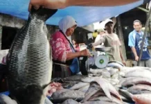 Cuaca Ekstrim, Harga Ikan di Kendari Naik Cuaca Ekstrim, Harga Ikan di Kendari Naik