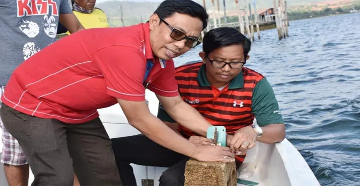 Tanam Bibit Karang, ANTAM dan YARI Libatkan Kelompok Nelayan di Pomalaa