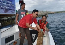 Tanam Bibit Karang, ANTAM dan YARI Libatkan Kelompok Nelayan di Pomalaa Tanam Bibit Karang, ANTAM dan YARI Libatkan Kelompok Nelayan di Pomalaa