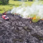 Hingga Juli, 597 Hektar Savana TN Rawa Aopa Watumohai Terbakar Hingga Juli, 597 Hektar Savana TN Rawa Aopa Watumohai Terbakar