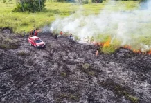 Hingga Juli, 597 Hektar Savana TN Rawa Aopa Watumohai Terbakar Hingga Juli, 597 Hektar Savana TN Rawa Aopa Watumohai Terbakar