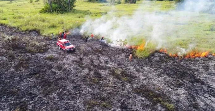 Hingga Juli, 597 Hektar Savana TN Rawa Aopa Watumohai Terbakar