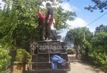 Dinilai Gagal Kembangkan Pariwisata, Kepala Disparekraf Wakatobi Diminta Dicopot Dinilai Gagal Kembangkan Pariwisata, Kepala Disparekraf Wakatobi Diminta Dicopot