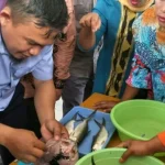 DKP Konut Gagas Pelatihan Pengolahan Bandeng Cabut Tanpa Duri