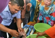 DKP Konut Gagas Pelatihan Pengolahan Bandeng Cabut Tanpa Duri