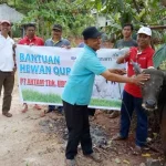 ANTAM Salurkan 14 Ekor Sapi Qurban ke Pomalaa dan Konut ANTAM Salurkan 14 Ekor Sapi Qurban ke Pomalaa dan Konut