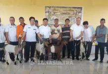 Bupati Konut Salurkan 150 Ekor Kambing Kepada 16 Kelompok Bupati Konut Salurkan 150 Ekor Kambing Kepada 16 Kelompok