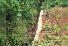 Mantan Kades dan Pj Kades di Buton Diduga Korupsi Dana Desa Mantan Kades dan Pj Kades di Buton Diduga Korupsi Dana Desa