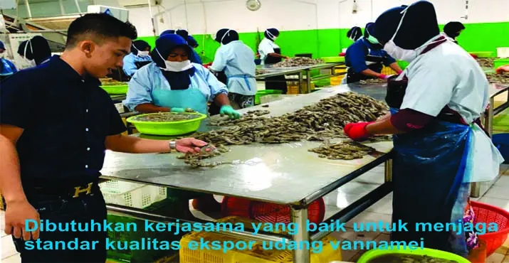 Supriansyah Yusuf: Bermodalkan Kejujuran dan Kepercayaan, Sukses Ekspor Udang ke China