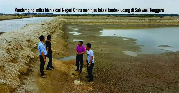 Supriansyah Yusuf: Bermodalkan Kejujuran dan Kepercayaan, Sukses Ekspor Udang ke China