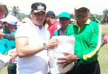 Mulai 2019, Pemda Konut Naikkan Honor Guru GTT, Bidan dan Perawat Mulai 2019, Pemda Konut Naikkan Honor Guru GTT, Bidan dan Perawat