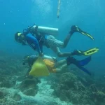 Wakatobi Siapkan Upacara HUT RI di Bawah Laut Wakatobi Siapkan Upacara HUT RI di Bawah Laut