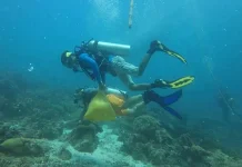 Wakatobi Siapkan Upacara HUT RI di Bawah Laut Wakatobi Siapkan Upacara HUT RI di Bawah Laut