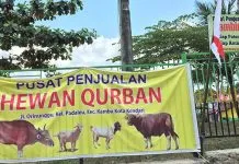 ICM Kendari dan Yayasan Hidayatullah Siap Layani Penyembelihan Hewan Kurban ICM Kendari dan Yayasan Hidayatullah Siap Layani Penyembelihan Hewan Kurban