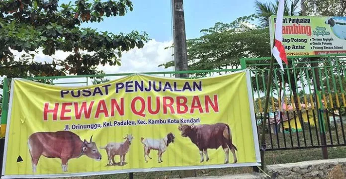 ICM Kendari dan Yayasan Hidayatullah Siap Layani Penyembelihan Hewan Kurban