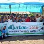 Keluarga Besar ANTAM UBPN Sultra Bagikan 1.635 Kantong Daging Qurban Keluarga Besar ANTAM UBPN Sultra Bagikan 1.635 Kantong Daging Qurban