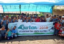 Keluarga Besar ANTAM UBPN Sultra Bagikan 1.635 Kantong Daging Qurban Keluarga Besar ANTAM UBPN Sultra Bagikan 1.635 Kantong Daging Qurban