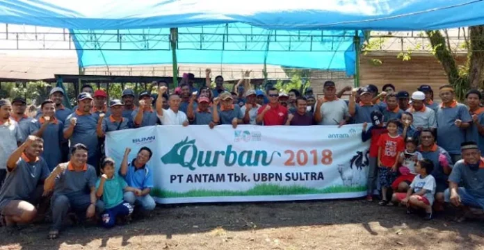 Keluarga Besar ANTAM UBPN Sultra Bagikan 1.635 Kantong Daging Qurban