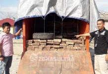 Mengolah Kayu di Luar Izin, Pengusaha di Konawe Jadi Tersangka Mengolah Kayu di Luar Izin, Pengusaha di Konawe Jadi Tersangka