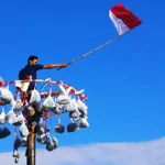 Atraksi Panjat Pinang Warnai Kemeriahan Hari Kemerdekaan di Wowanggu Atraksi Panjat Pinang Warnai Kemeriahan Hari Kemerdekaan di Wowanggu