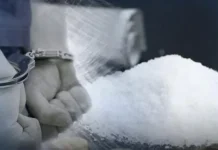 Kedapatan Edarkan Sabu, Seorang Wanita Paruh Baya di Kendari Berteriak Histeris saat Ditangkap Hendak Nyabu, Oknum ASN di Konawe Diringkus Polisi