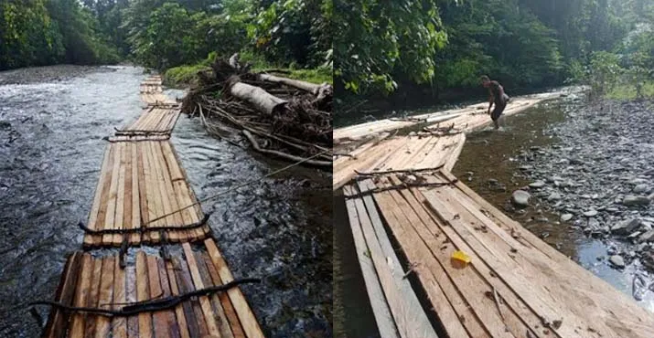 KPH Unit XXIV Gularaya Amankan Ratusan Batang Kayu Ilegal Loging di Konsel