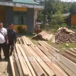 KPH Unit XXIV Gularaya Amankan Ratusan Batang Kayu Ilegal Loging di Konsel KPH Unit XXIV Gularaya Amankan Ratusan Batang Kayu Ilegal Loging di Konsel