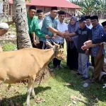Pemda Konut Kurban 27 Ekor Sapi di 13 Kecamatan Pemda Konut Kurban 27 Ekor Sapi di 13 Kecamatan