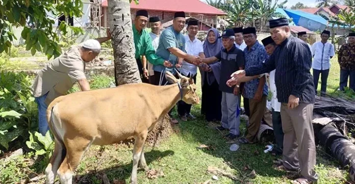 Pemda Konut Kurban 27 Ekor Sapi di 13 Kecamatan