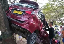 Laka Tunggal, Mobil Avanza di Muna Tabrak Trotoar, Terpental ke Pohon Laka Tunggal, Mobil Avanza di Muna Tabrak Trotoar, Terpental ke Pohon