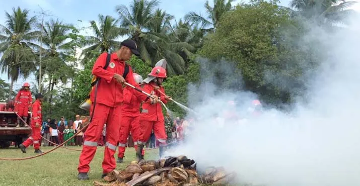 Manggala Agni Daops Tinanggea Berhasil Padamkan Titik Api di Tinanggea