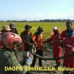 Piton 3 Meter Diselamatkan dari Kebakaran di Rawa Aopa Piton 3 Meter Diselamatkan dari Kebakaran di Rawa Aopa