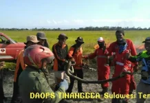 Piton 3 Meter Diselamatkan dari Kebakaran di Rawa Aopa Piton 3 Meter Diselamatkan dari Kebakaran di Rawa Aopa