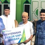BPJS Ketenagakerjaan Kendari Kurban Dua Ekor Sapi BPJS Ketenagakerjaan Kendari Kurban Dua Ekor Sapi