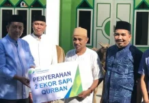 BPJS Ketenagakerjaan Kendari Kurban Dua Ekor Sapi BPJS Ketenagakerjaan Kendari Kurban Dua Ekor Sapi
