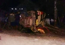 Tabrak Sapi, Truk Ini Terbalik dan 5 Orang Terluka Tabrak Sapi, Truk Ini Terbalik dan 5 Orang Terluka