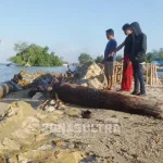 Talud yang Ambruk di Konkep Diduga Proyek Prematur Talud yang Amburk di Konkep Diduga Proyek Prematur