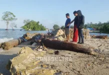 Talud yang Ambruk di Konkep Diduga Proyek Prematur Talud yang Amburk di Konkep Diduga Proyek Prematur