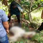 Tiga Hari Hilang, Petani di Kolut Ditemukan Tewas Tiga Hari Hilang, Petani di Kolut Ditemukan Tewas