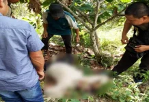 Tiga Hari Hilang, Petani di Kolut Ditemukan Tewas Tiga Hari Hilang, Petani di Kolut Ditemukan Tewas
