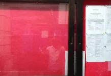 Rekrutmen CPNS Butur, Formasi Guru Kelas dan PAI Terbanyak Rekrutmen CPNS Butur, Formasi Guru Kelas dan PAI Terbanyak