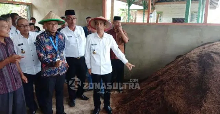 Mengenal Aunupe, Desa di Tengah Hutan Wolasi yang Penduduknya Sukses Bertani Organik