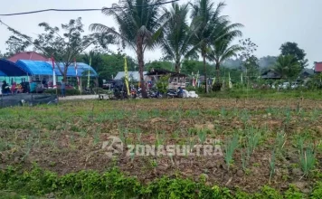 Mengenal Aunupe, Desa di Tengah Hutan Wolasi yang Penduduknya Sukses Bertani Organik Mengenal Aunupe, Desa di Tengah Hutan Wolasi yang Penduduknya Sukses Bertani Organik