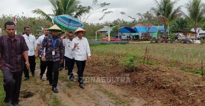 Mengenal Aunupe, Desa di Tengah Hutan Wolasi yang Penduduknya Sukses Bertani Organik