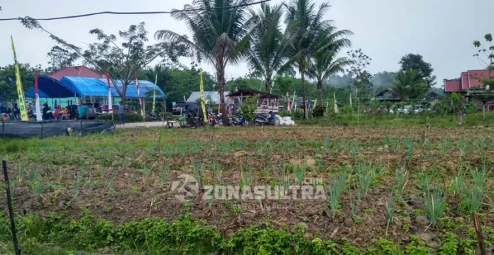 Mengenal Aunupe, Desa di Tengah Hutan Wolasi yang Penduduknya Sukses Bertani Organik