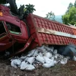 Rem Blong, Truk Pengangkut Pupuk Terguling di Kolut