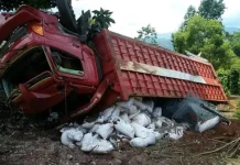 Rem Blong, Truk Pengangkut Pupuk Terguling di Kolut